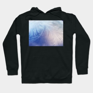 Frost 9 Hoodie